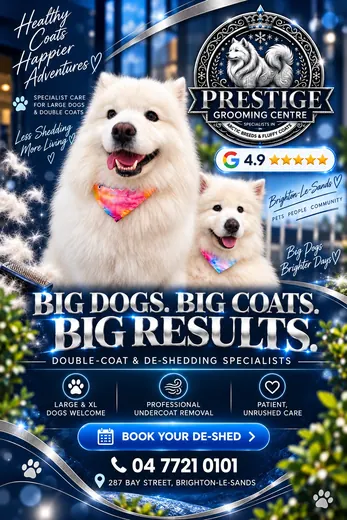 Prestige Grooming Centre poster: big dogs, big coats, big results, double-coat and de-shedding specialists