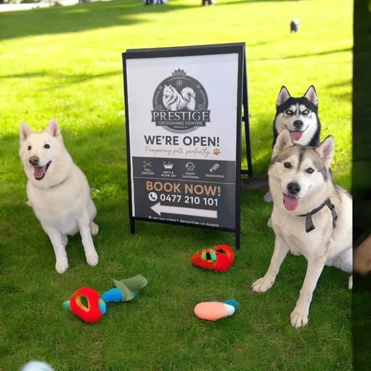 Huskies sitting on the grass next to the Prestige Grooming Centre sign